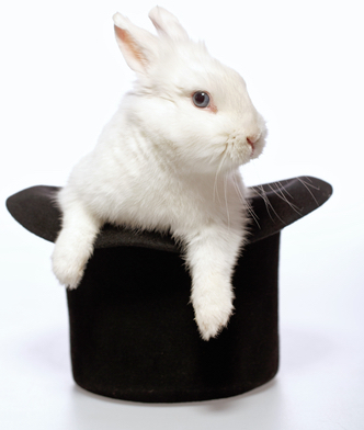 Magicians rabbit. Closeup image of a cute white bunny looking out from the magicians black hat isolated on white background